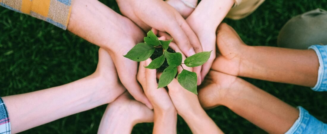 The Effort to Save the Planet: Psychological Interventions That Boost Climate Action