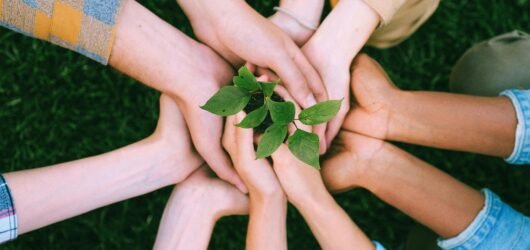 The Effort to Save the Planet: Psychological Interventions That Boost Climate Action