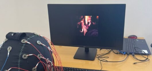 Mobile EEG as a valid alternative to high-resolution laboratory EEG measures